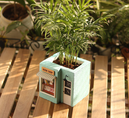 Choosing Plants for Bae & Bee Studio's Decorative Planters