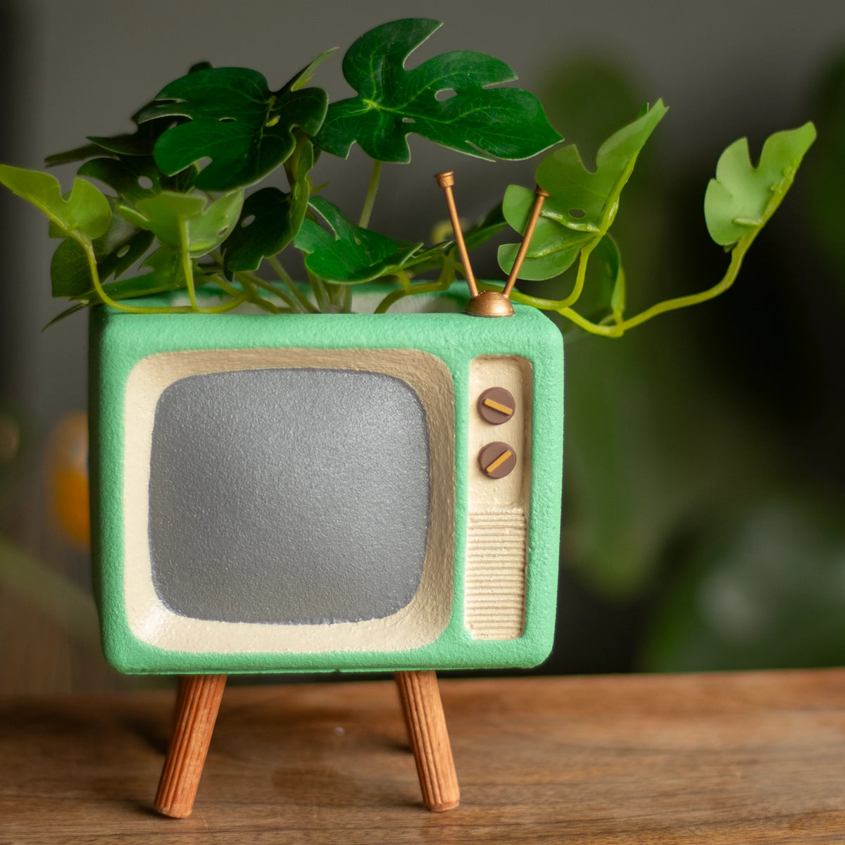 Retro TV Desk Organiser (Mint Green)