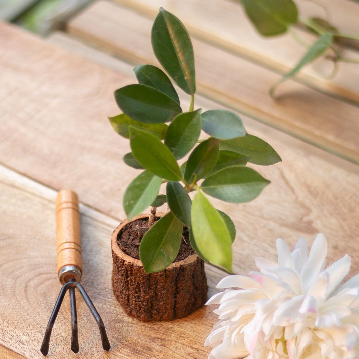 Tiny Tree Trunk Planter