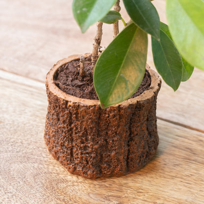 Tiny Tree Trunk Planter